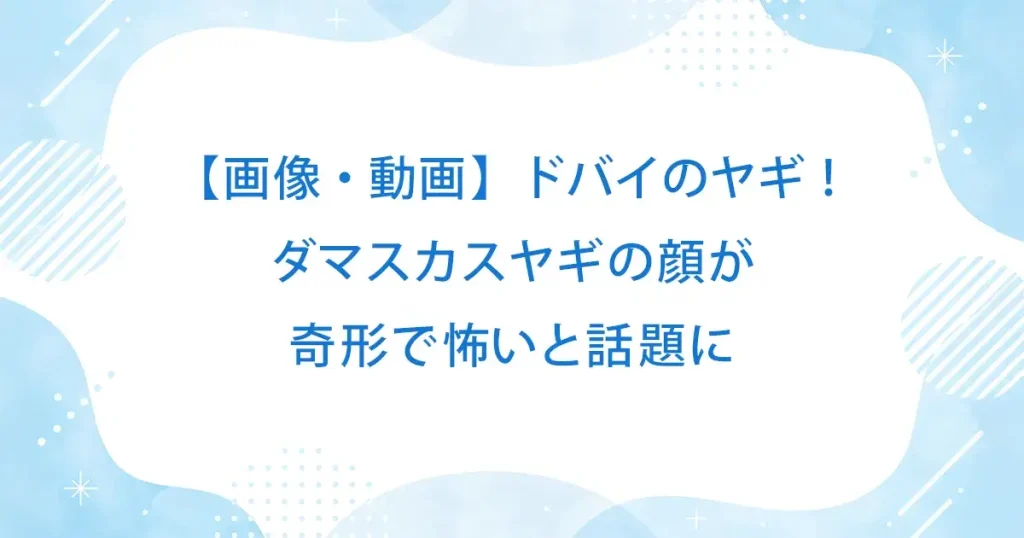 【画像・動画】ドバイのヤギ！ダマスカスヤギの顔が奇形で怖いと話題に