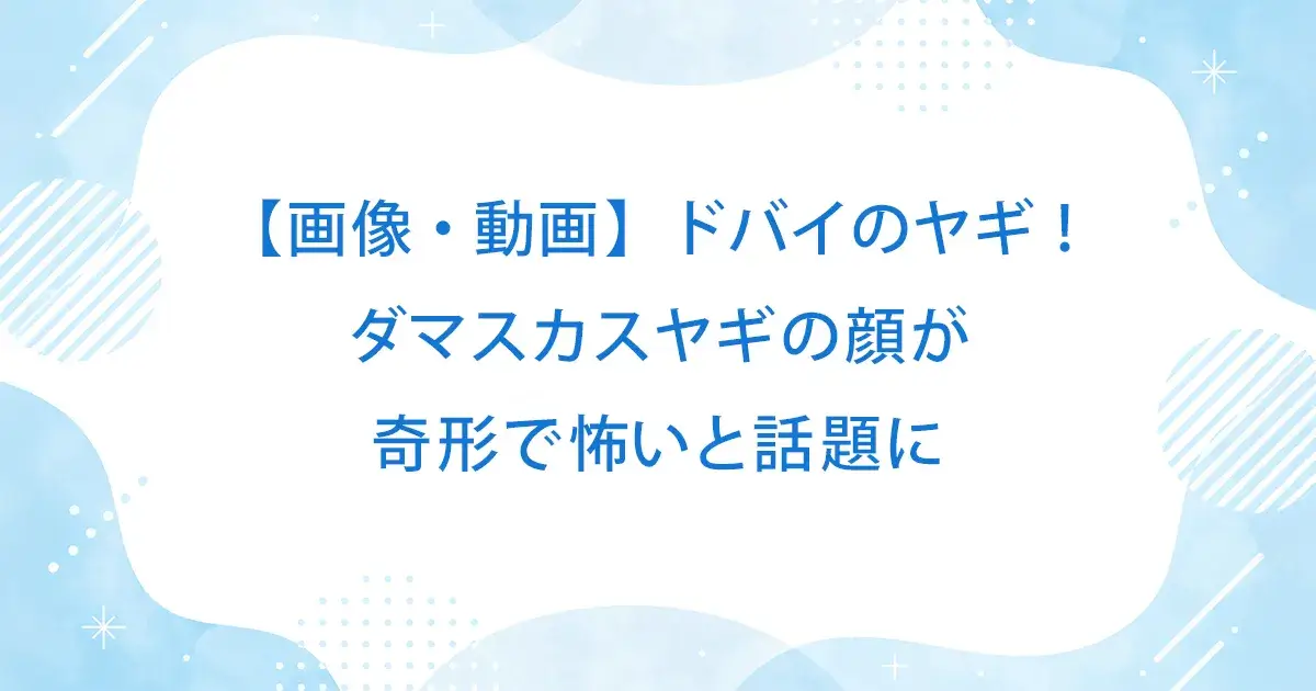 【画像・動画】ドバイのヤギ！ダマスカスヤギの顔が奇形で怖いと話題に